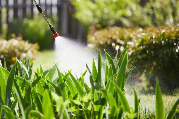 24/7 Emergency Mosquito Control experts in Wakarusa, IN